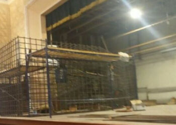 Zełenski ostrzegł Rosję przed procesem schwytanych "Azowitów"