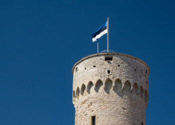 Estonia zatwierdziła przekazanie Ukrainie nowego pakietu pomocy wojskowej