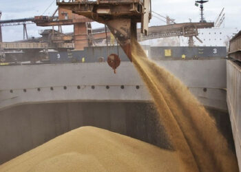 Rosja ukradła Ukrainie pszenicę o wartości co najmniej miliarda dolarów