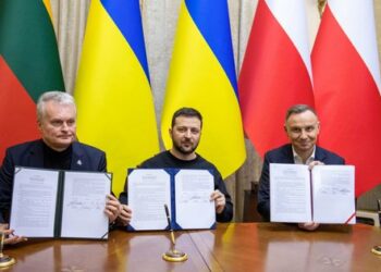 Litwa przekaże Ukrainie działa przeciwlotnicze w celu ochrony przed dronami uderzeniowymi