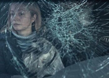 Wyniki 339. dnia wojny: nasze zwycięstwa i straty