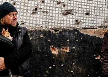 Wyniki 343. dnia wojny: nasze zwycięstwa i straty