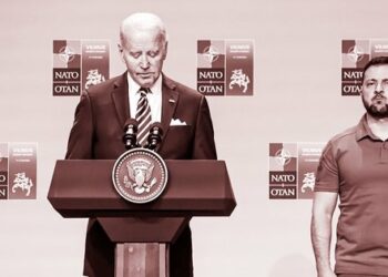 Литовський урок для Зеленського