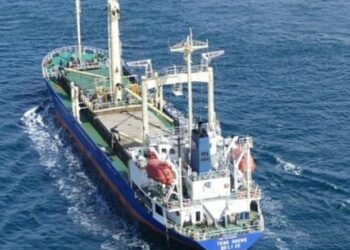 Перший корабель зернової угоди прорвав блокаду Росії та зайшов в українські води Дунаю