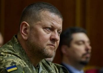 В НАТО прокоментували заяви про «відсутність плану у Залужного»