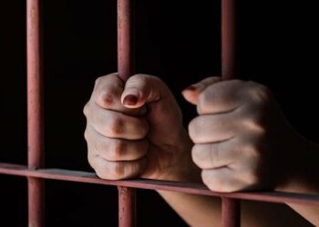 На Прикарпатті уродженку РФ засудили до трьох років за виправдовування російської агресії