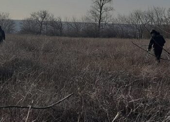 На Миколаївщині четверо чоловіків підірвались на міні