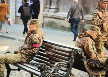 На які безоплатні послуги і пільги мають право військові: інформація для кожної сфери життя