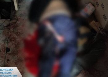 Внаслідок російського артобстрілу на Донеччині загинули двоє пенсіонерів