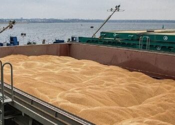 Росія вивезла з окупованих територій понад 1700 тонн зерна