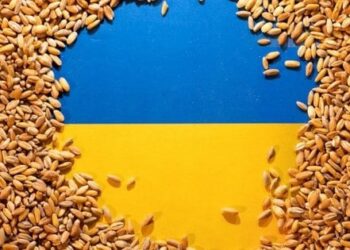 Через поновлення російських обстрілів на українські порти у світі подорожчала пшениця