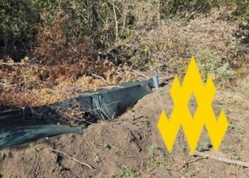 Партизани завадили наступу росіян на Запорізькому напрямку