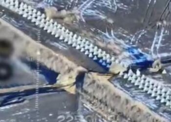 Українські бійці показали прорив кордону в Бєлгородській області