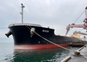 В Україну прибуло судно з коксівним вугіллям зі США