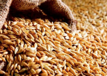 Iz Zaporizhije, okupatori su uklonili skoro 2.000 tona. tone ukrajinskog žita