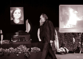 Papa i dama u kovčegu