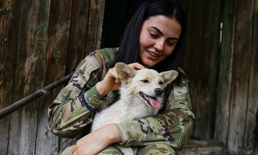 Rezultati 177. dana rata: naše pobede i porazi