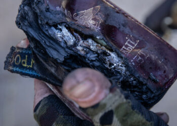 Zašto su Ukrajini potrebni živahni i zdravi zarobljeni Rusi? 7 glavnih razloga