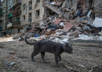 Rezultati 193. dana rata: naše pobede i porazi