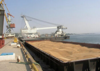 12 kamiona sa žitom napustilo luke Ukrajine, uprkos pokušajima Rusije da poremeti sporazum