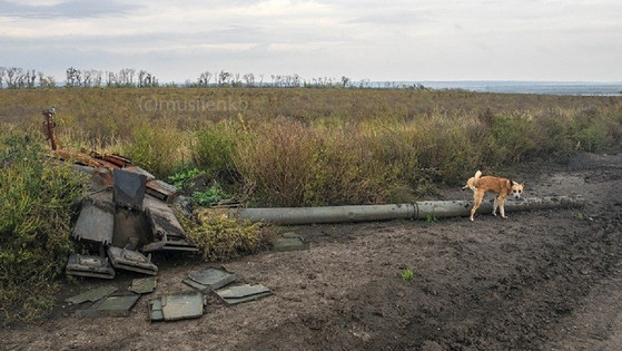 Rezultati 226. dana rata