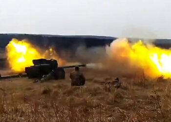 Oružane snage Ukrajine uništile ruske pljačkaše koji su ukrali gusku u regionu Donetsk (video)