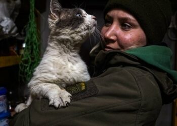 Підсумки 392 дня війни: карта бойових дій