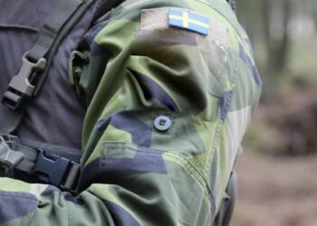Швеція готує українських військових до боїв у лісистій місцевості (фото)