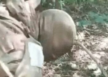 ГУР прокоментувало відео зі стратою українського полоненого