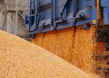 Польща заборонила ввезення зерна та продуктів з України