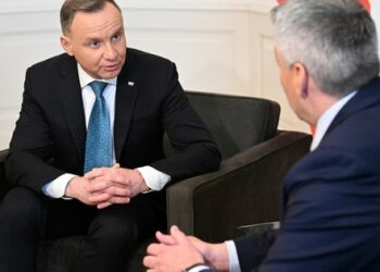 Передача Польщею Україні винищувачів МіГ-29 буде поступовою