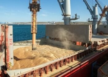 Росія заблокувала інспекції суден з українським збіжжям у Босфорі