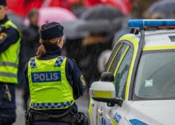 У Швеції за підозрою в промисловому шпигунстві затримали росіянку