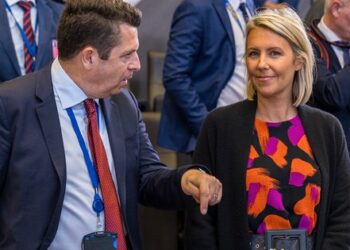 Бельгія надасть Україні гусеничні бронетранспортери M113