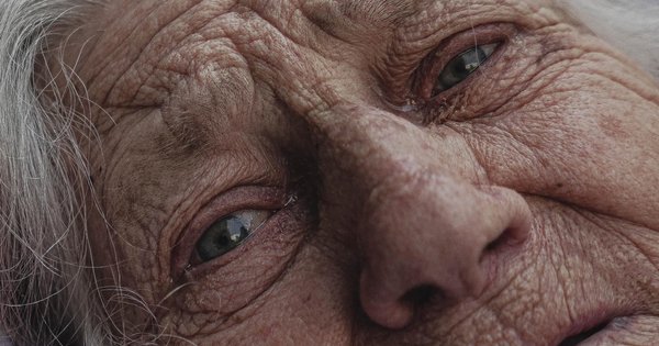 Підсумки 474 дня війни. Наші перемоги і втрати