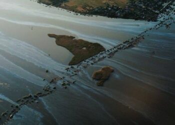 Росія переміщає бійців з Херсонського напрямку після підриву Каховської ГЕС