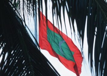 Мальдіви стали другим найбільшим постачальником мікросхем до Росії