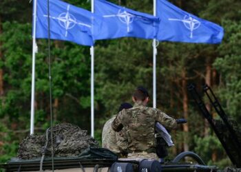 НАТО терміново намагається узгодити гарантії безпеки для України, – ЗМІ