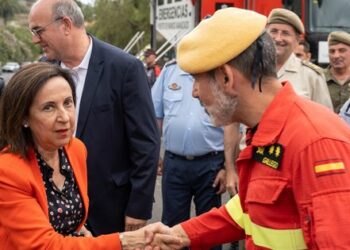 Іспанія відправила Україні танки Leopard і нову партію зброї та боєприпасів