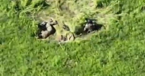 На Запоріжжі поранених бійців ЗСУ врятували за допомогою дронів