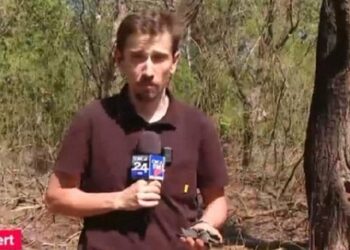 Румунія посилює протиповітряну оборону біля кордону з Україною