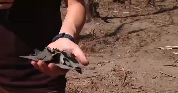 Румунські ЗМІ показали відео з місця, де впав Shahed