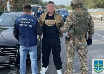 На Закарпатті шахраї виманили у матері загиблого військового 7 млн грн