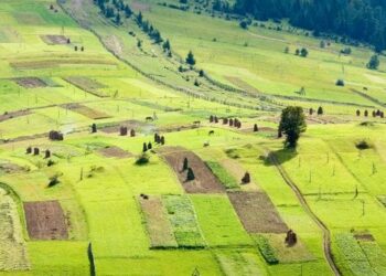 На Львівщині росіяни заробляли на здачі в оренду землі агропідприємствам