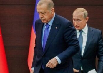 МЗС Туреччини повідомило деталі майбутньої зустрічі Ердогана та Путіна