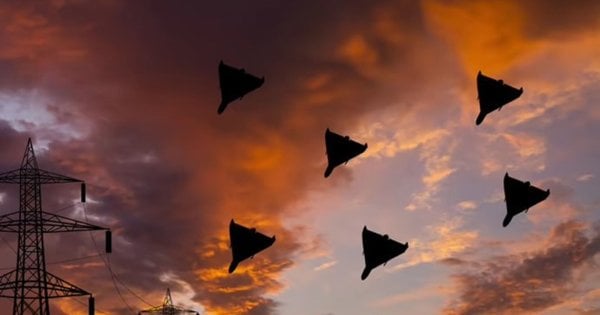 Росіяни вночі атакували Україну 42 дронами-камікадзе