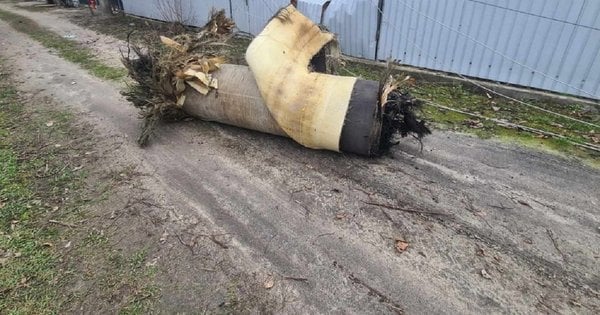 Росіяни накопичили «Циркони» в Криму для точкових ударів по Україні, – Гуменюк