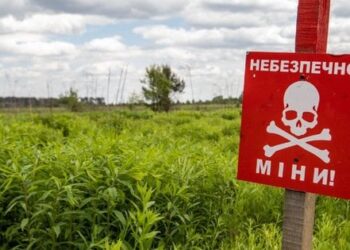 Штучний інтелект залучать до розмінування територій України, – Мінекономіки