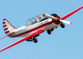 На Одещині ЗСУ знищили два російські дрони-розвідники з легкомоторного літака