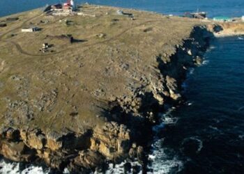 Окупанти вночі атакували район острова Зміїного крилатими ракетами